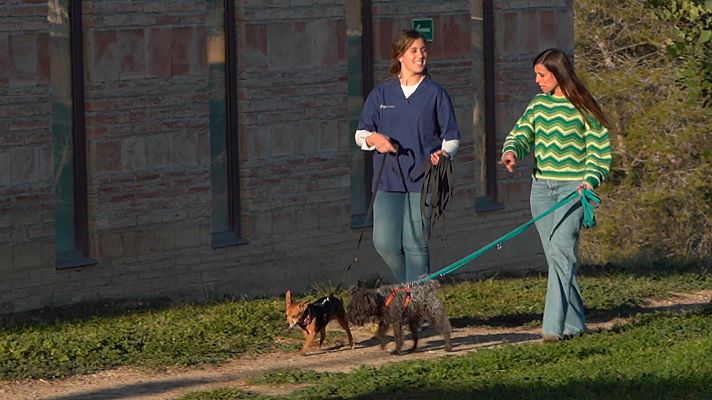¡Qué animal! - Entrevista a Cristina González, veterinaria