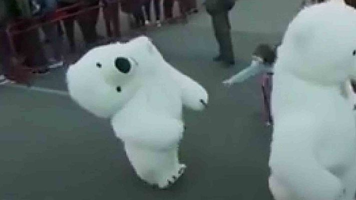 Telediario 1 - Recogen firmas para que vuelva el "oso perjudicado" a la cabalgata de Cádiz