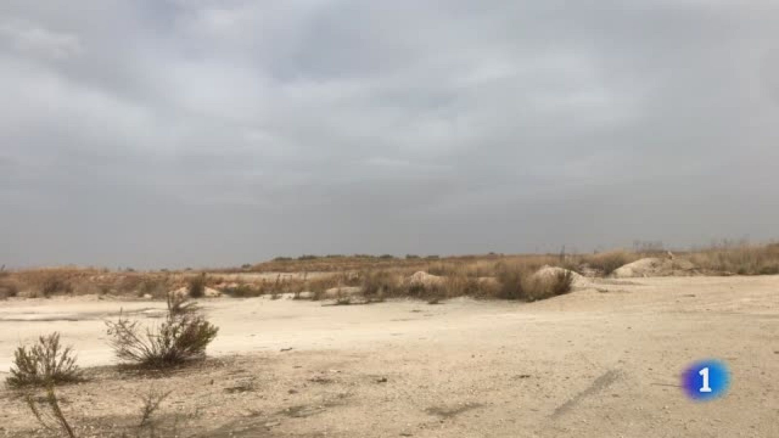 Making of: Así se grabó la muerte de Vega en 'Servir y proteger' | Ver