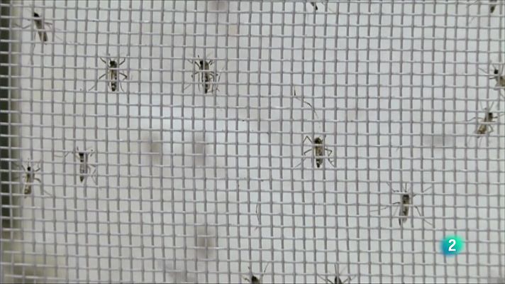 Telecanarias - Telecanarias 2 - 21/12/2022