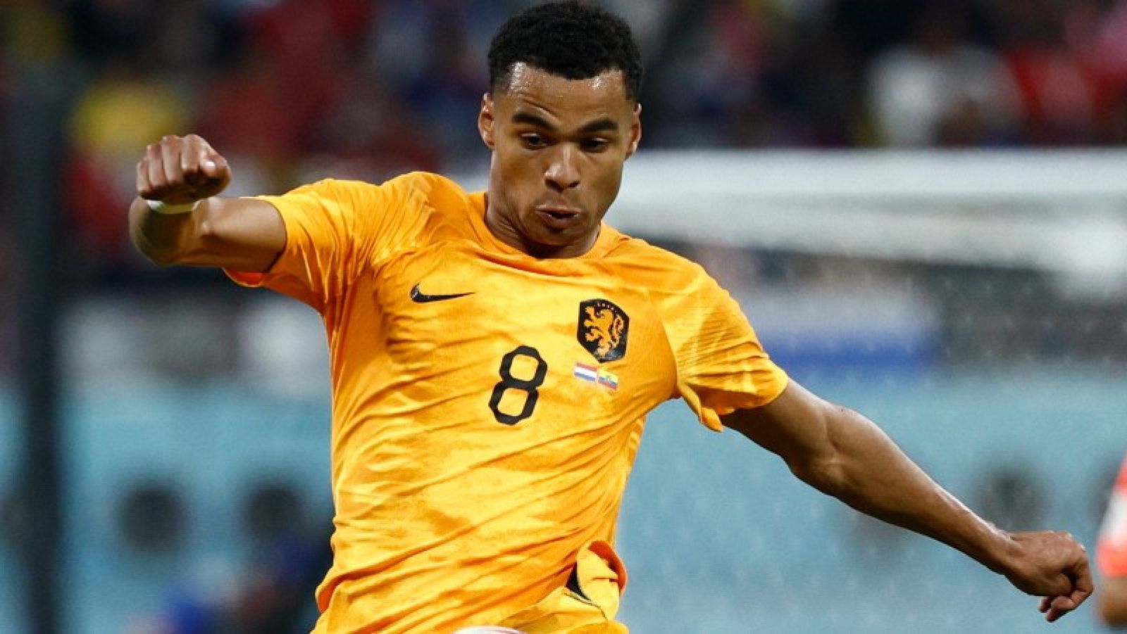 El Liverpool ficha a Gakpo, una de las sensaciones del Mundial - ver ahora