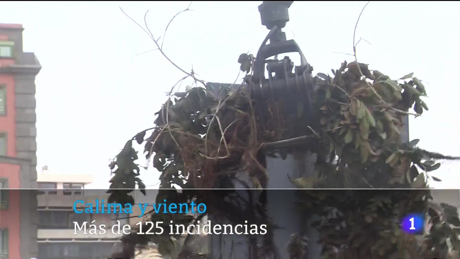 Telecanarias: Telecanarias - 27/12/2022 | RTVE Play