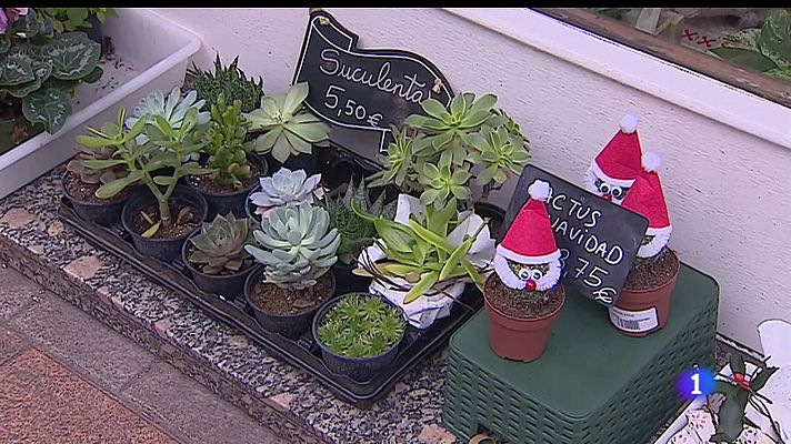 Panorama Regional - Panorama Regional 2 - 28/08/22