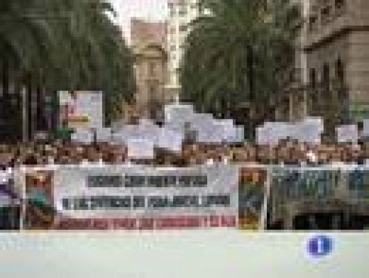 L'informatiu - Comunitat Valenciana - L'informatiu Comunitat Valenciana - 25/01/10