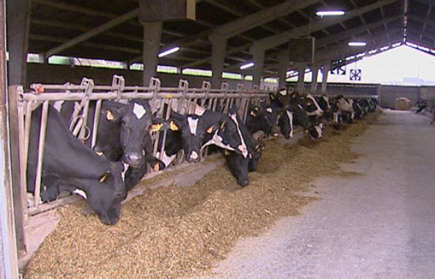  - 3 céntimos más por litro de leche