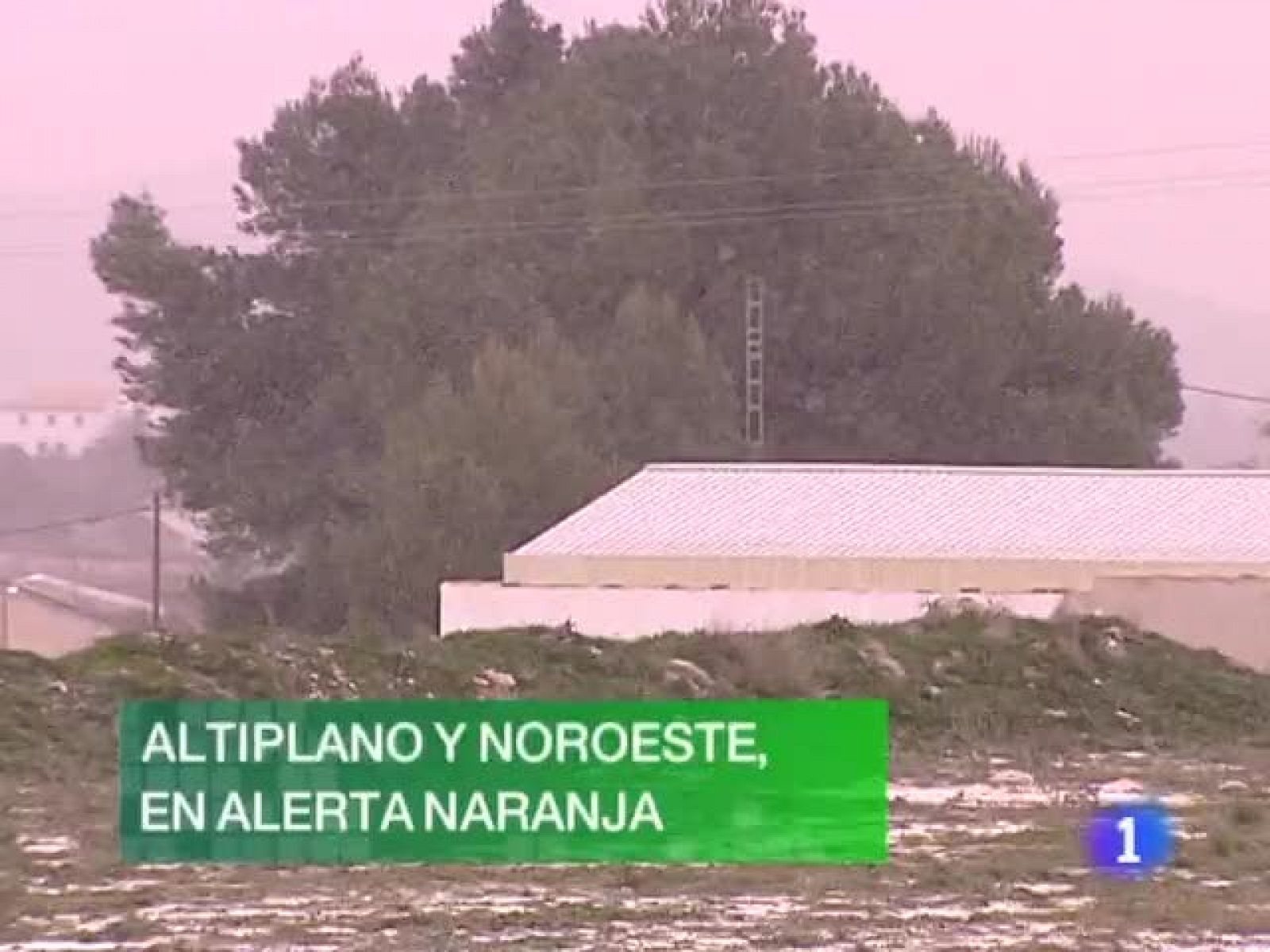 noticias Murcia 25/1/2010