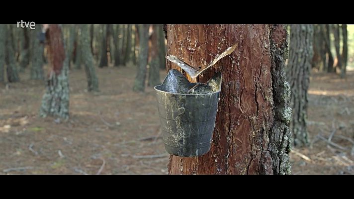 Red Natura 2000 - Programa 2