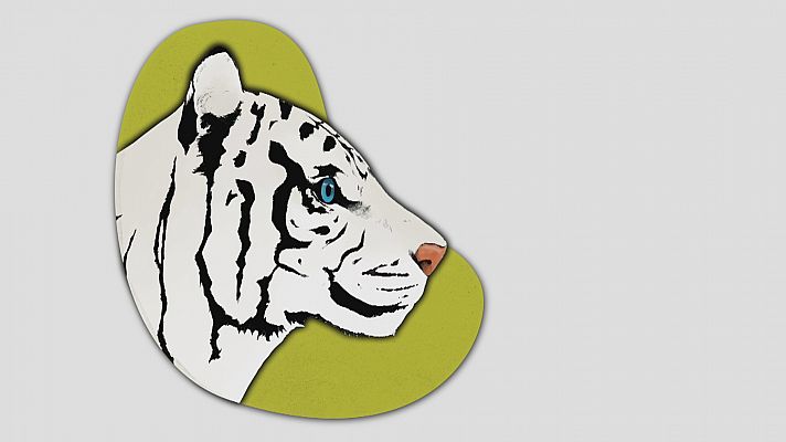 Noticias Andalucía - Seprona busca a un felino en Los Barrios