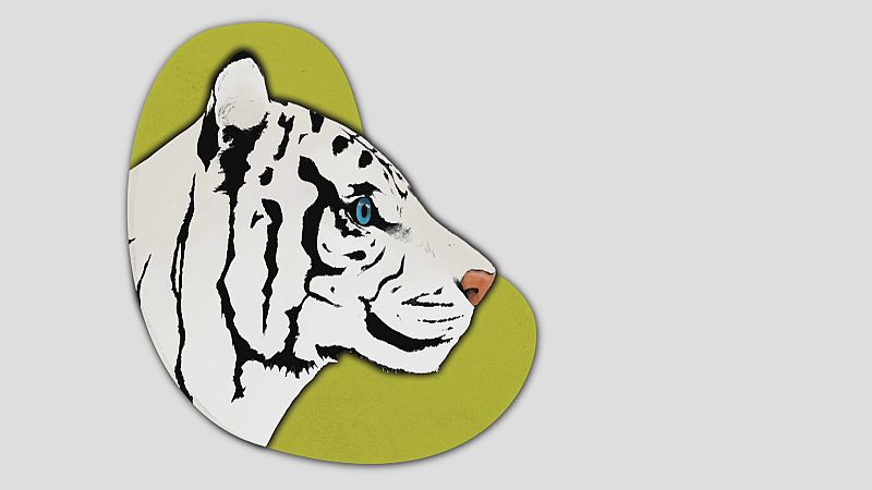 Seprona busca a un felino en Los Barrios - Ver ahora