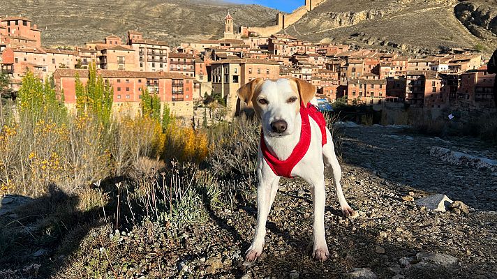 Pipper en ruta - Teruel