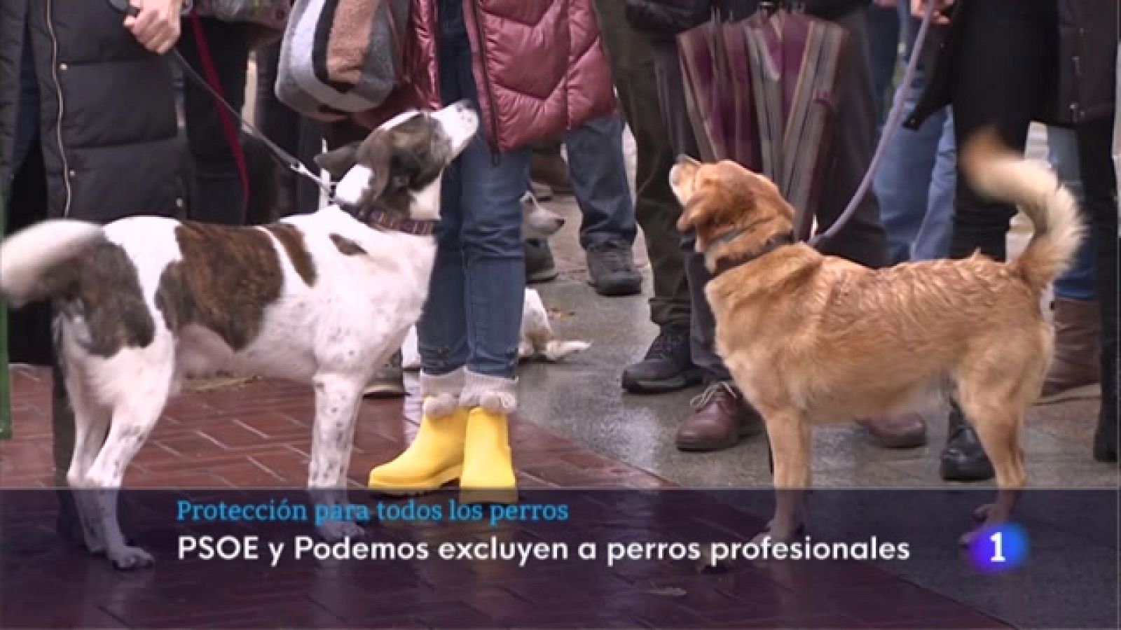 Informativo Telerioja - 09/01/23 - Ver ahora