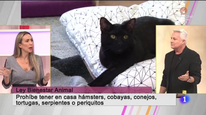 Cerca de ti - Cerca de ti - 09/01/2023