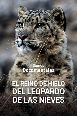 El reino del hielo del leopardo de las nieves