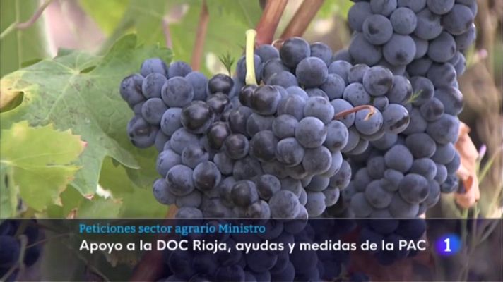 Informativo Telerioja - Informativo Telerioja - 10/01/23