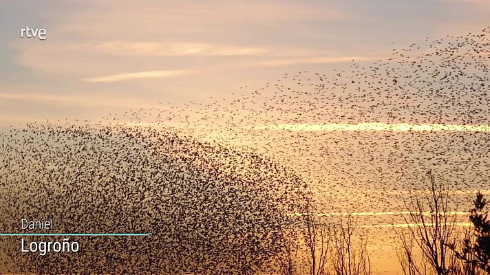 El tiempo - Intervalos de viento fuerte en el norte de Galicia y el oeste Asturias