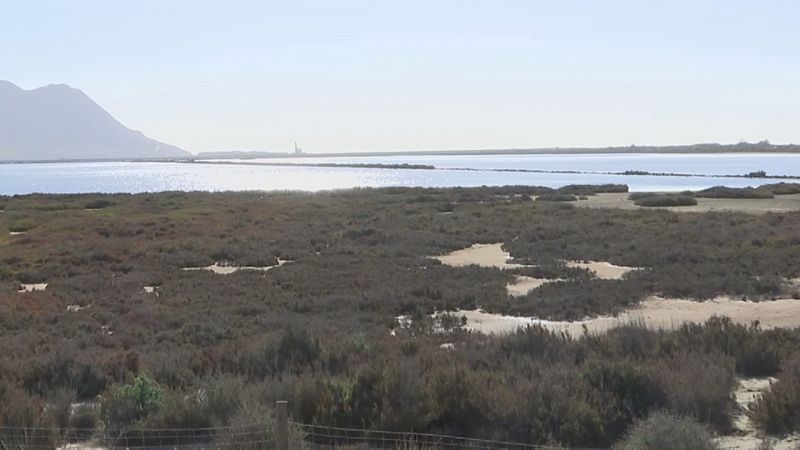 Salinas de Cabo de Gata - Ver ahora