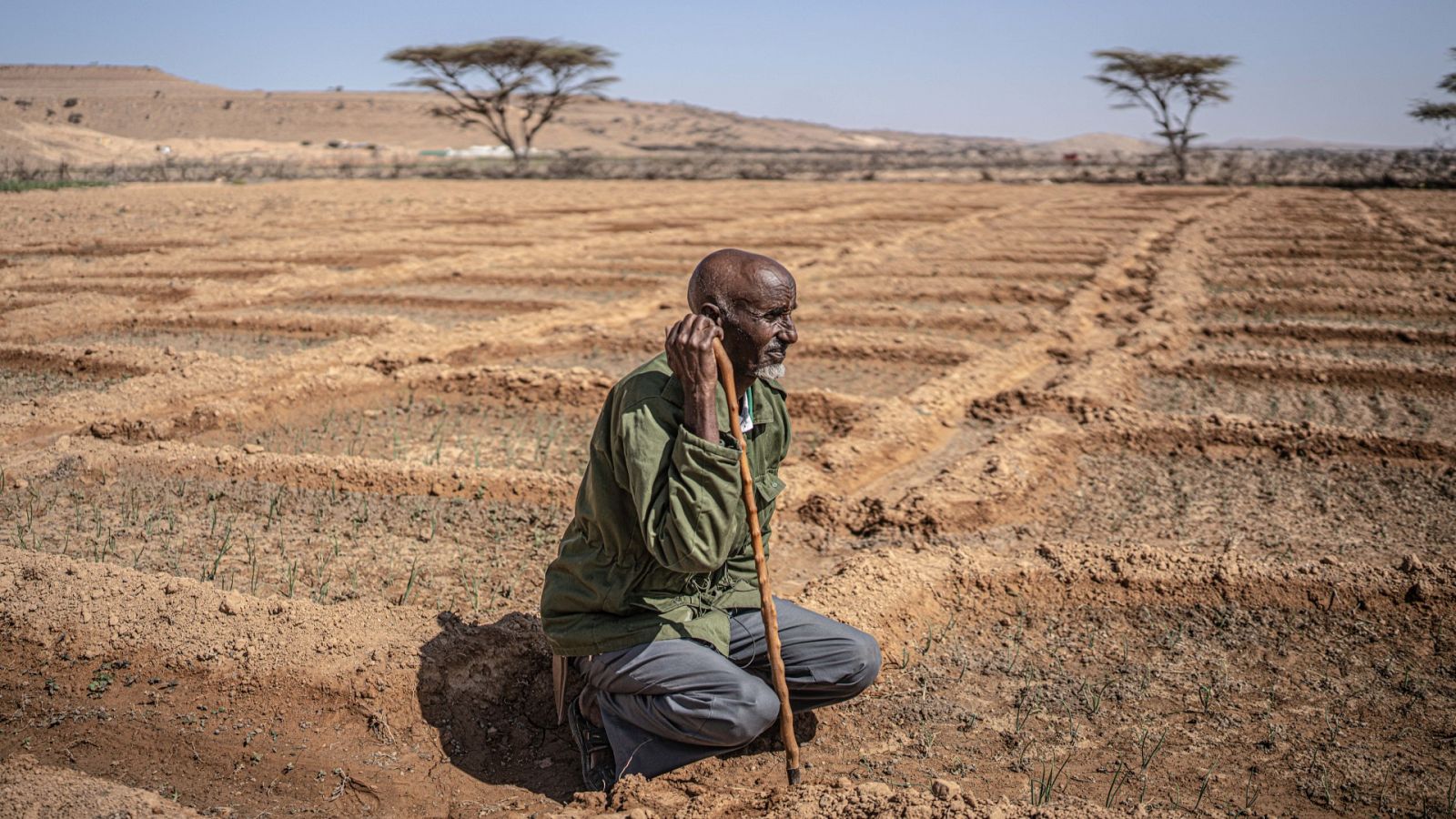 Somalia: el cambio climático acaba con la vida nómada