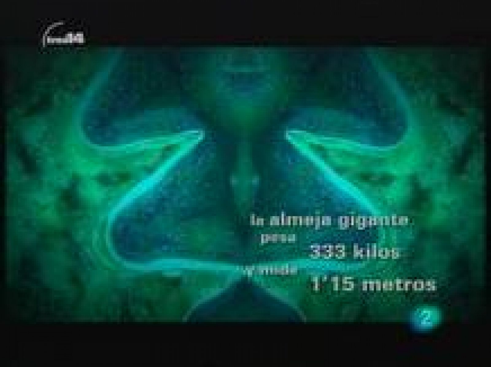 Y además (animales grandes)