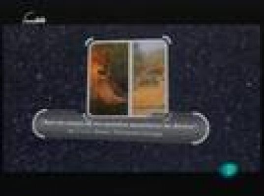 tres14 - Libros y webs