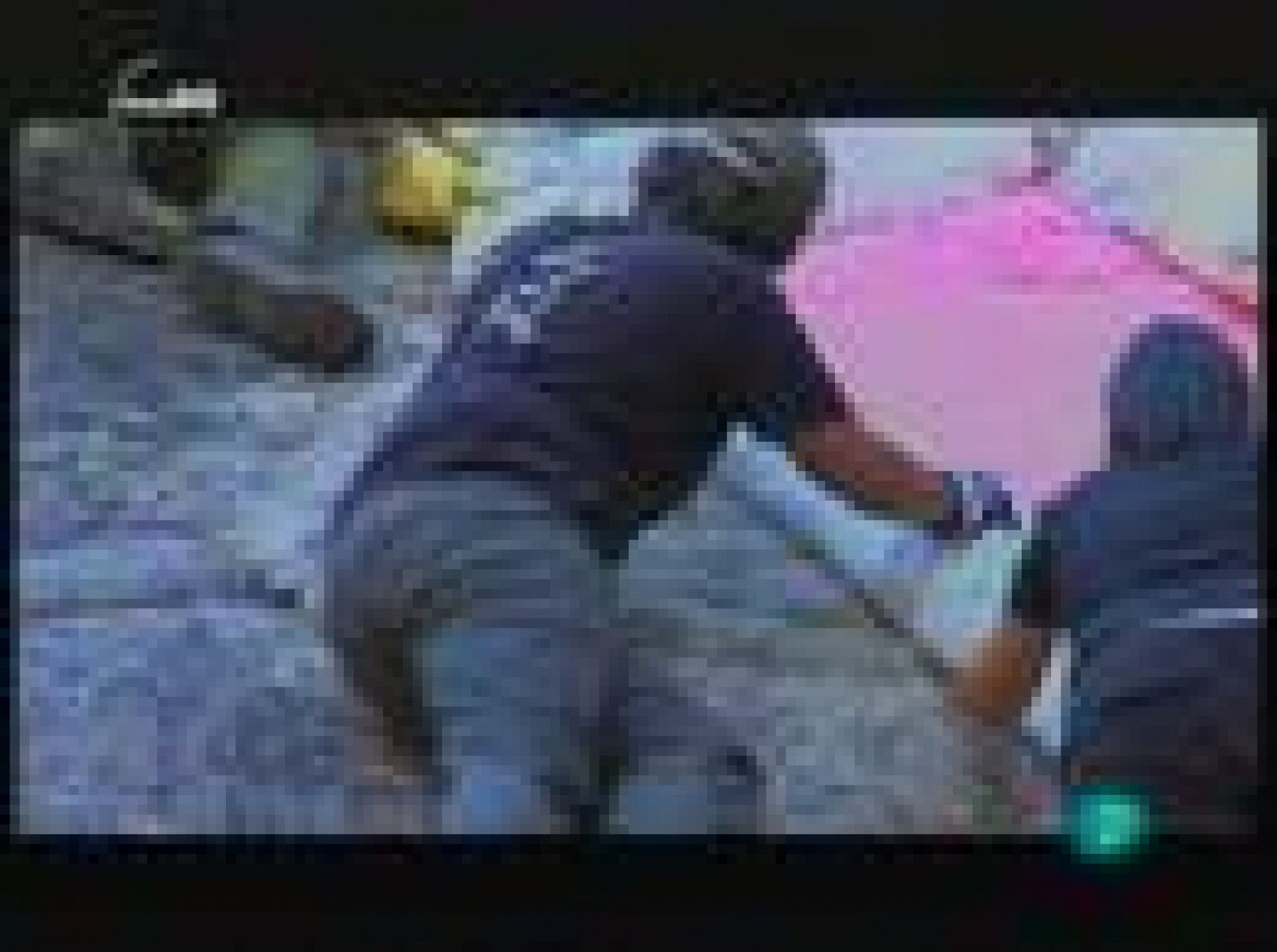 Últimas noticias (animales grandes)