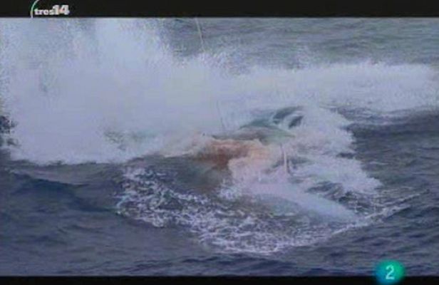 tres14 - Gigantes del mar