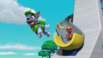 La patrulla detiene un tiburón cañero