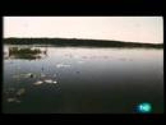 Los últimos indígenas - Ju/'Homansi