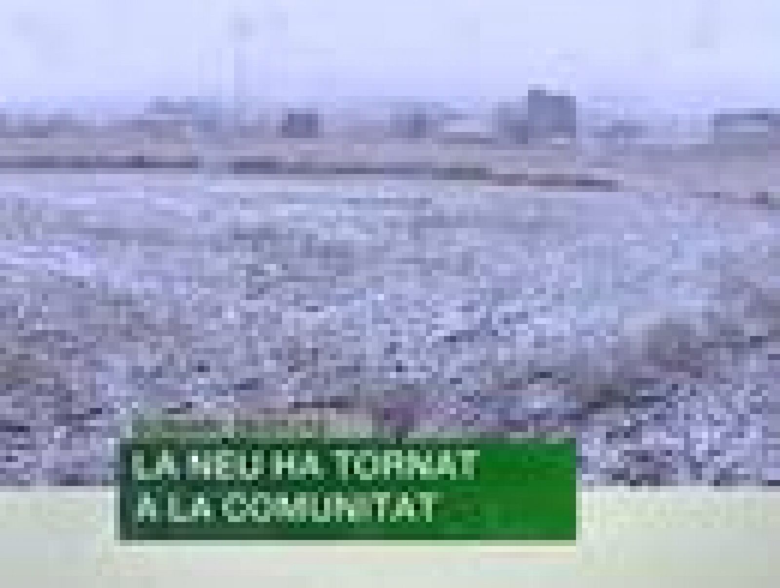 L'Informatiu. Informativo Territorial de la C.Valenciana (26/01/10)