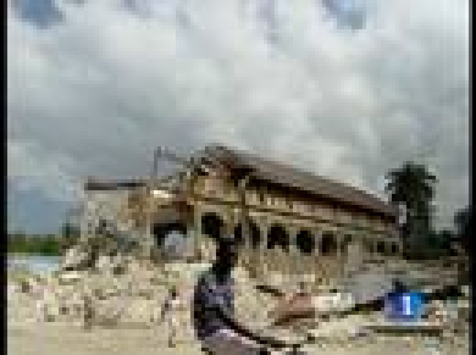Sin programa: Leogane, el epicentro del terremoto | RTVE Play