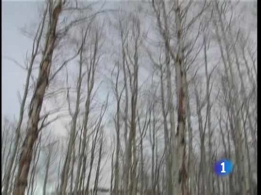  - "Buried", guerra de distribuidoras