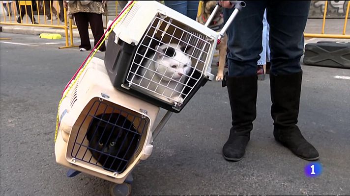 L'informatiu - Comunitat Valenciana - L'informatiu Comunitat Valenciana 1 - 17/01/23