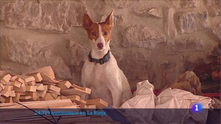 Informativo Telerioja - Informativo Telerioja - 17/01/23