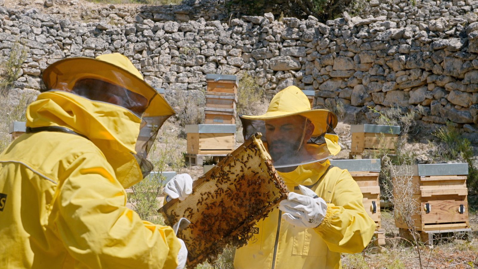 Las rutas d'Ambrosio - Viaje a la Alcarria - Ver ahora