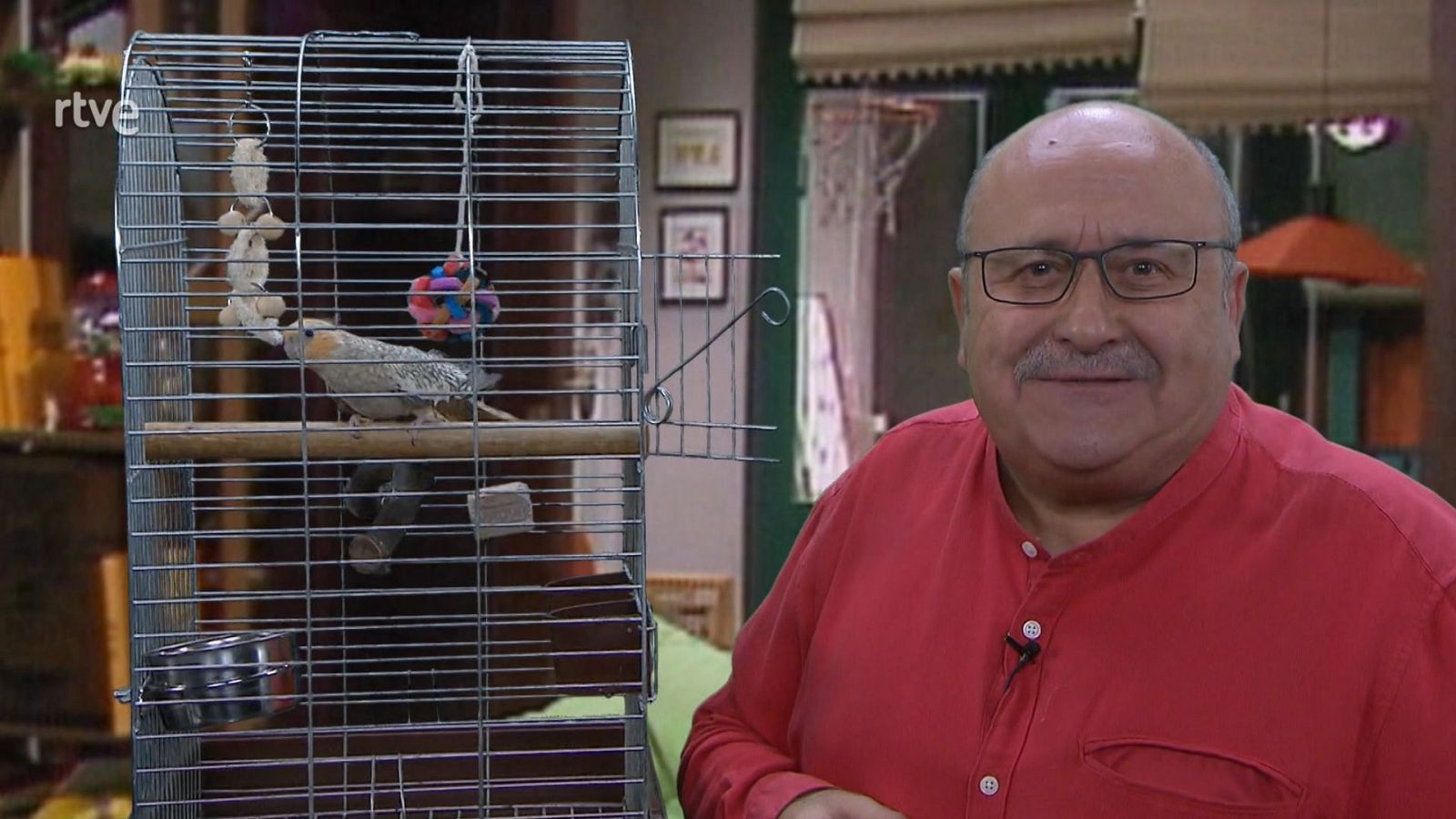 Calidoscopi - Altres mascotes - Veure ara