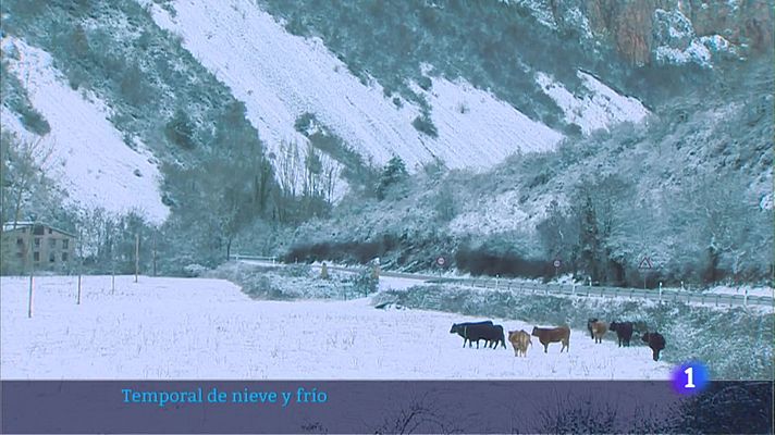 Informativo Telerioja - Telerioja en 2' - 18/01/23