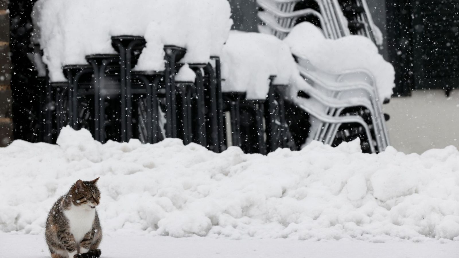 En Lekunberri, Navarra, hay 20 centímetros de nieve