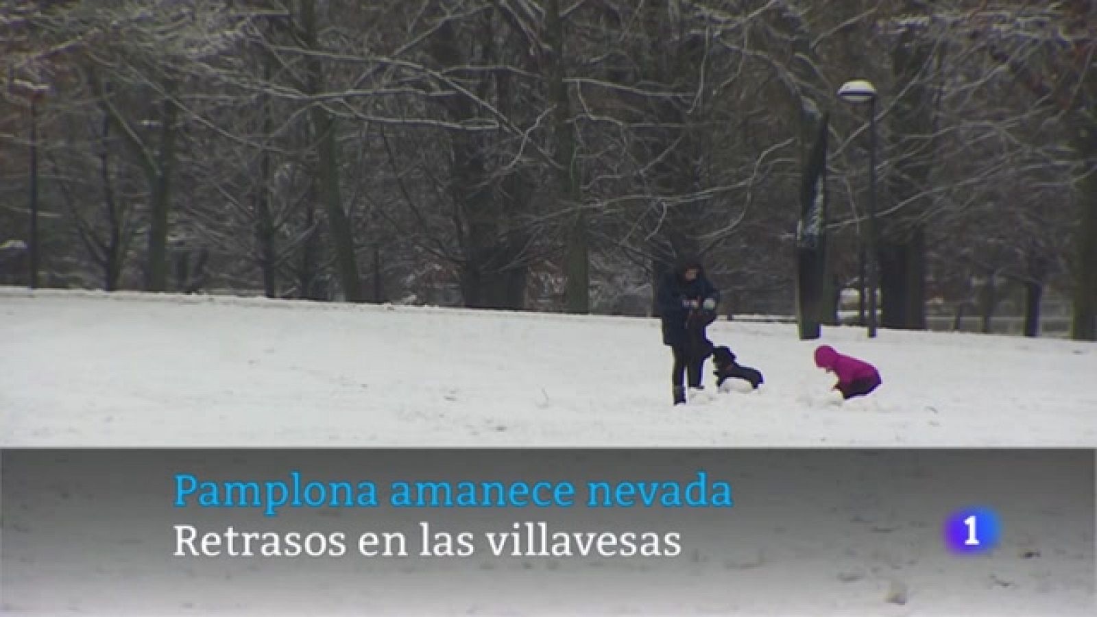 Telenavarra 2 - 19/1/2023 - RTVE.es