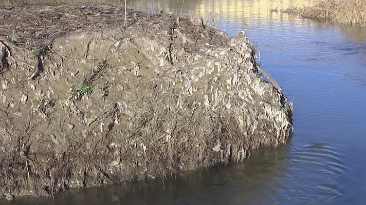 Una isla de toallitas en el Guadalquivir