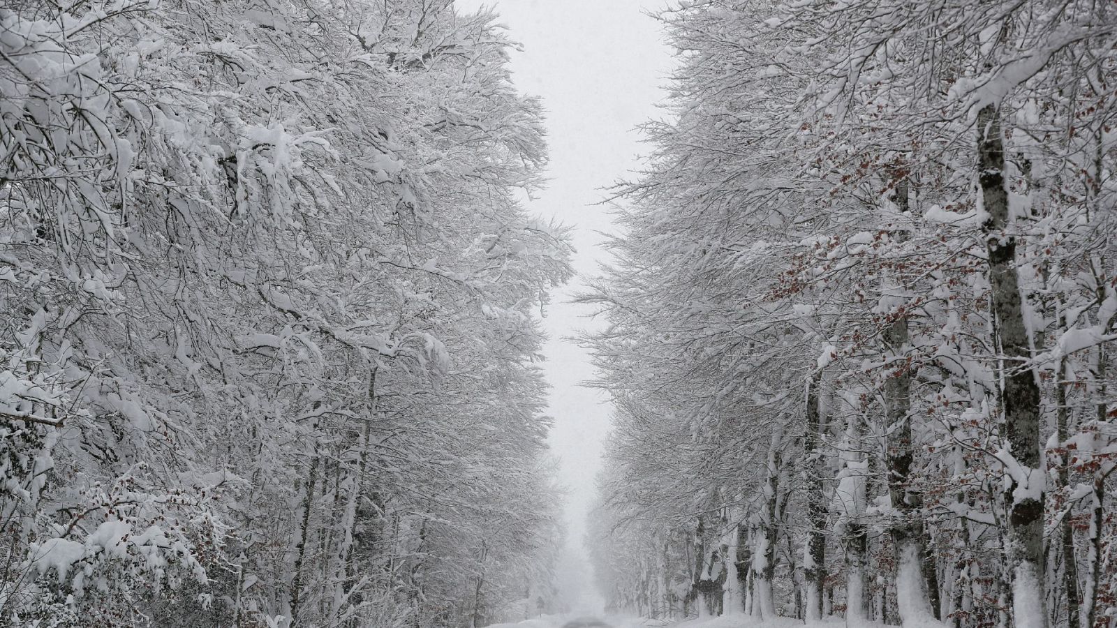 La huella del temporal: fuertes nevadas, inundaciones, cortes de carreteras y cancelaciones de clases - Ver ahora