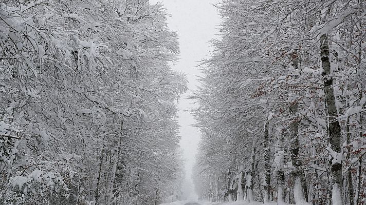 La hora de La 1 - La huella que deja el temporal Fiel