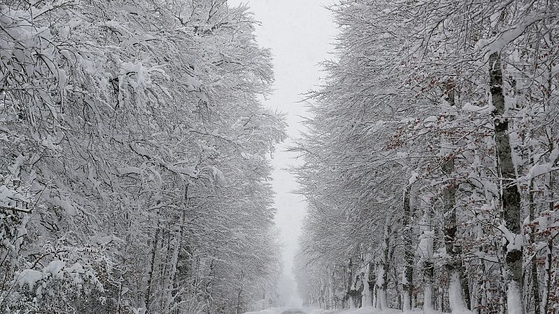 La huella del temporal: fuertes nevadas, inundaciones, cortes de carreteras y cancelaciones de clases - Ver ahora