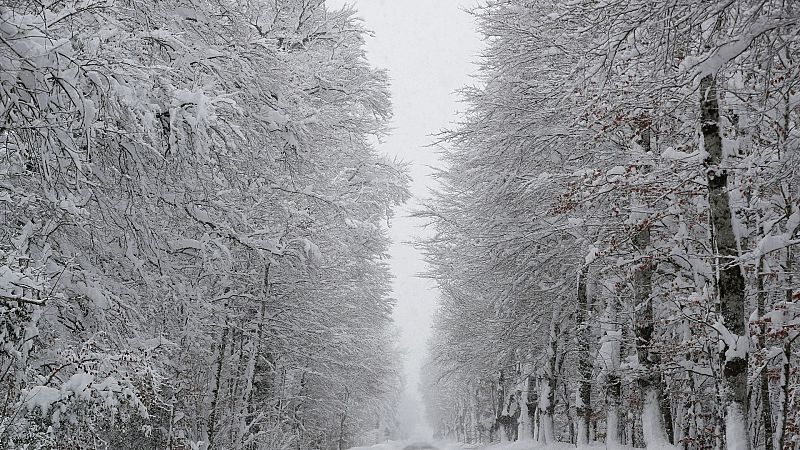 La huella del temporal: fuertes nevadas, inundaciones, cortes de carreteras y cancelaciones de clases - Ver ahora