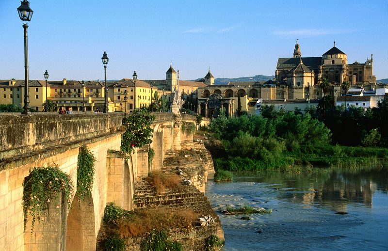 En el río Guadalquivir a su paso por Córdoba se ha formado una isla de toallitas húmedas