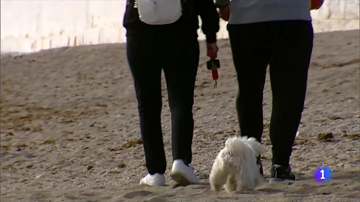 Crecen los alojamientos 'pet friendly'