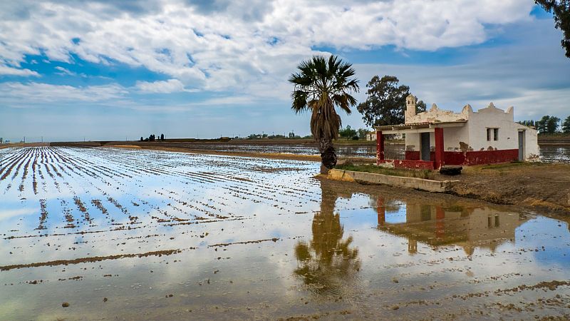 El Delta del Ebro pide soluciones para evitar perder terreno frente al mar