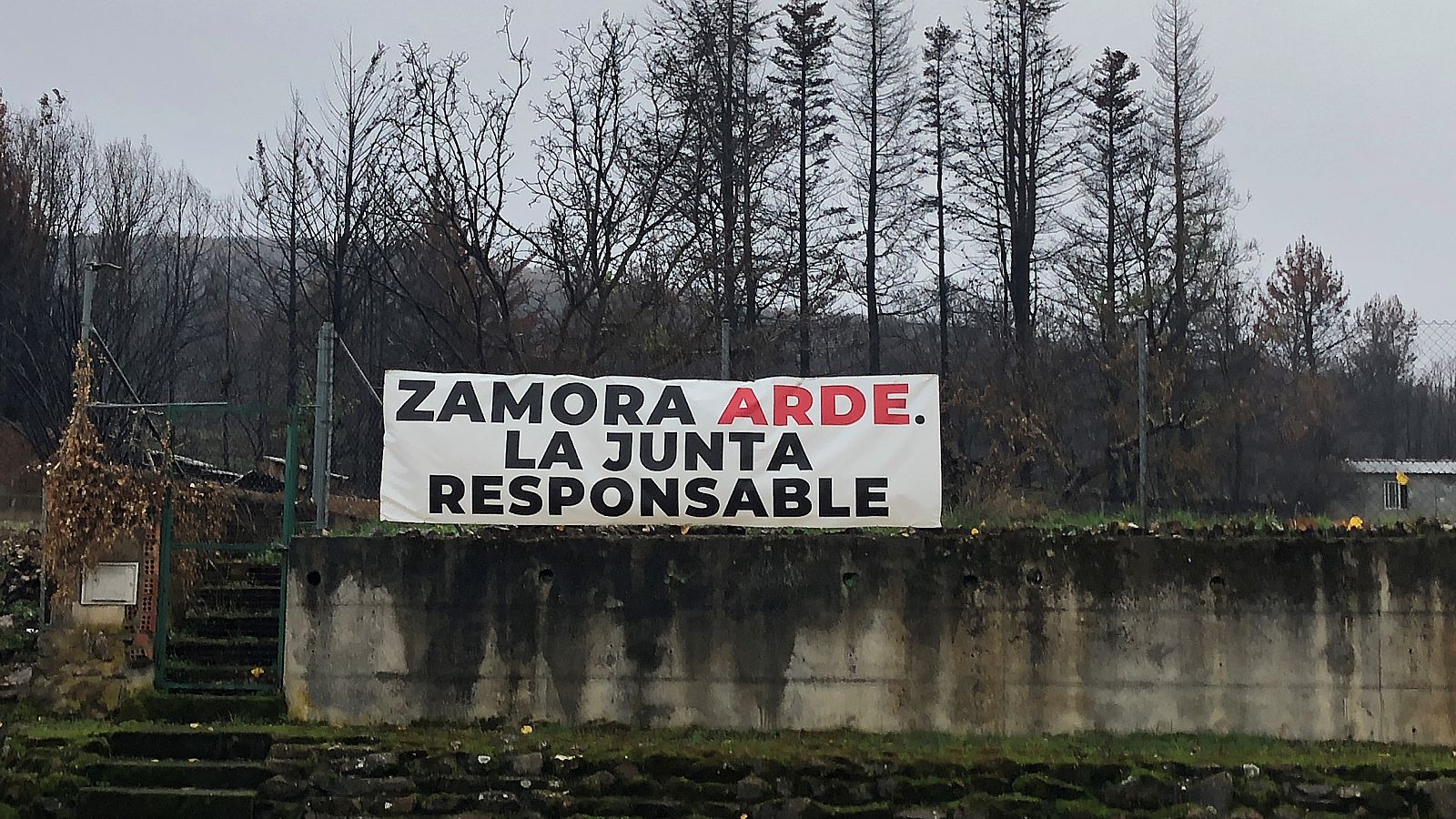 Repor - Quemados - ver ahora