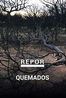 Repor - Quemados
