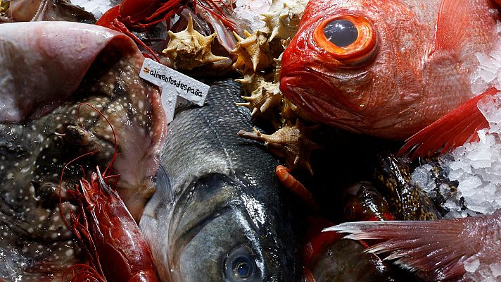 Telediario 1 - 'Madrid Fusión' muestra la diversidad de la cocina contemporánea