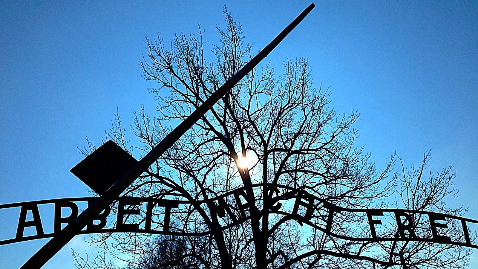 La noche temática - 1944: ¿Deberíamos bombardear Auschwitz? - Documental en RTVE