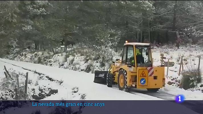 Arriba la neu